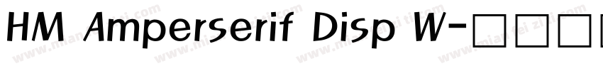 HM Amperserif Disp W字体转换